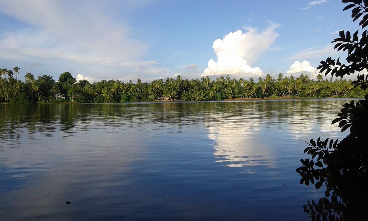 Hotel Big Banana Island Retreat North Paravur Exterior foto